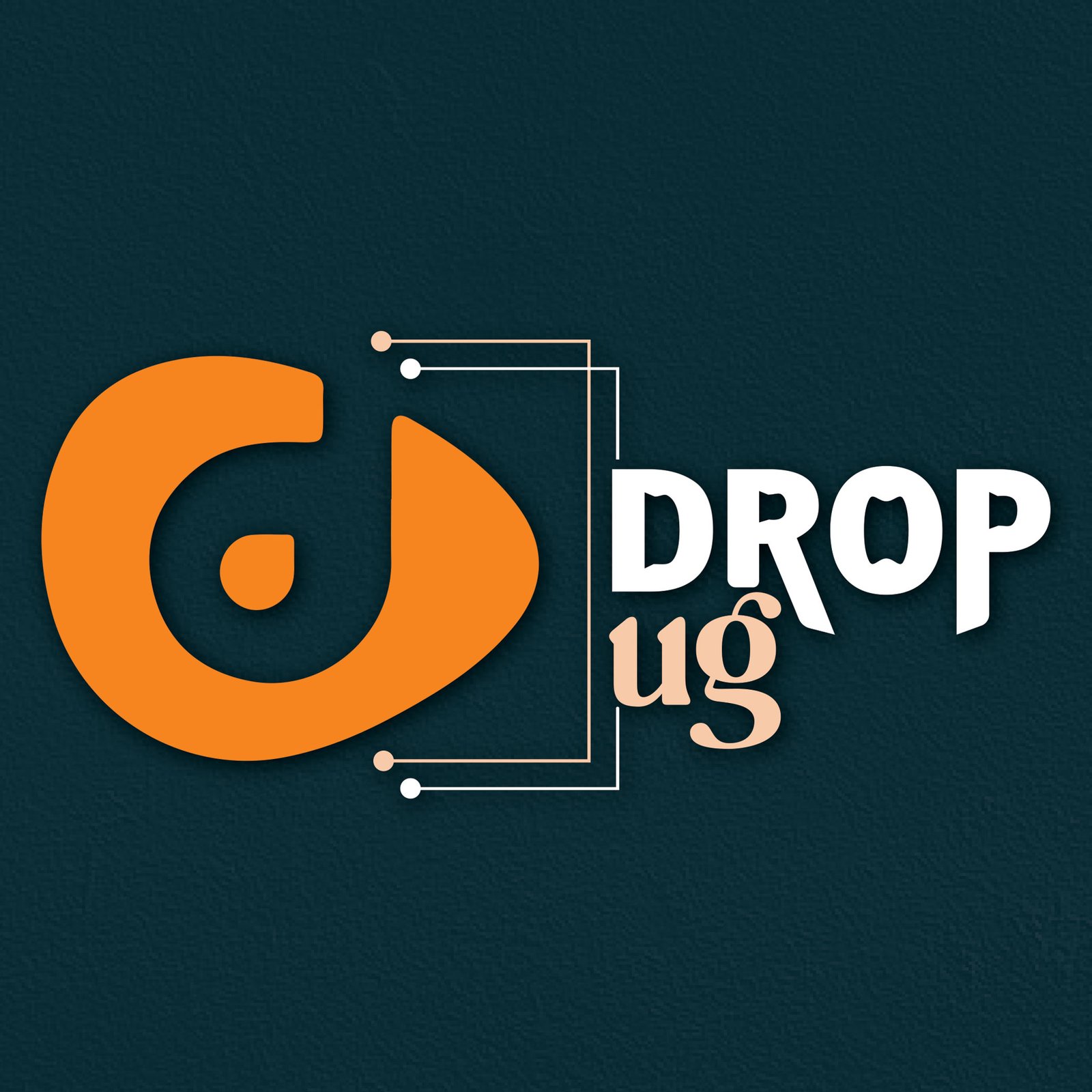Drop Plog What would a $3,000 seed grant do for you? - DROPUG BRANDING